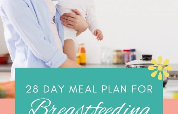 28 Day Breastfeeding Meal Plan for Postpartum Mamas - The ...