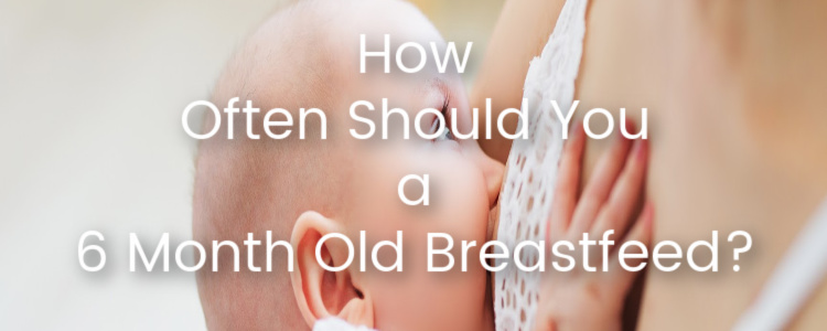 how often should a six month old breastfeed
