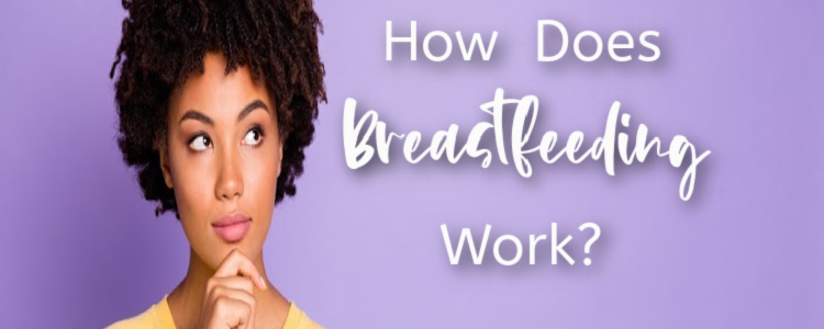 how does breastfeeding work