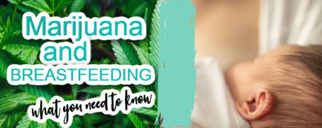 Breastfeeding and Marijuana | What You Should Know - The Breastfeeding Mama