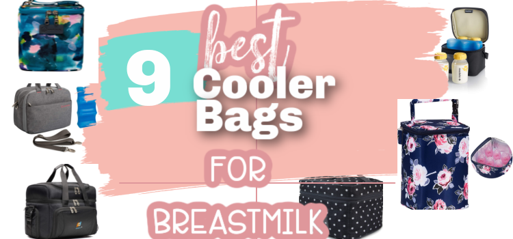 M&B 2 Layer Breast Milk Cooler Bag Portable