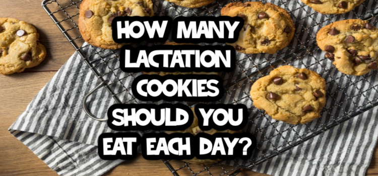 How Many Lactation Cookies Should You Eat A Day