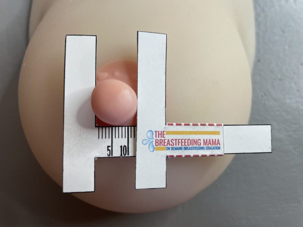 FREE Nipple Measuring Tool: Find Your Flange Size – Breezy Babies