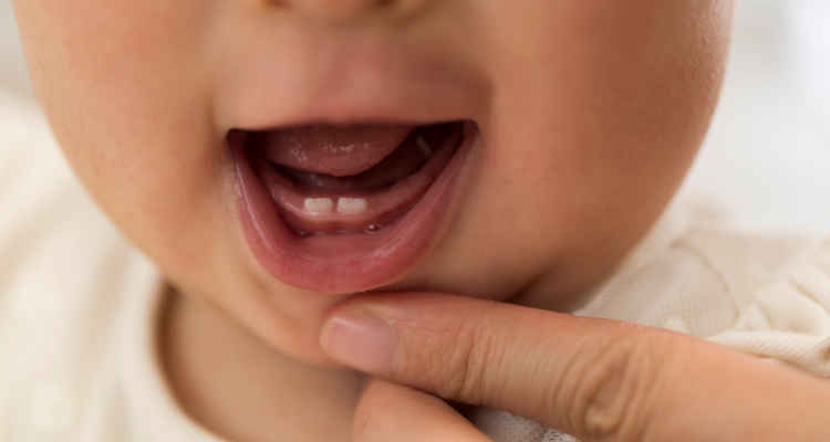 baby teeth