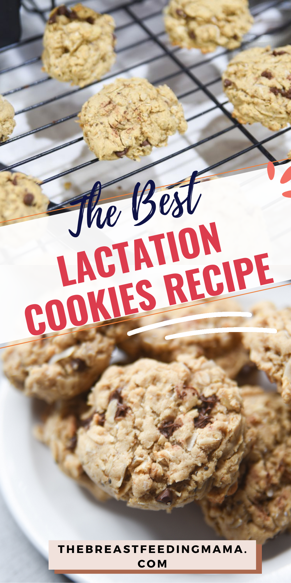 Are you looking for the BEST lactation cookie recipe that actually tastes good? These cookies are packed with protein and other nutrients that are known to help increase breast milk production and support health lactation. They're also delicious, so you'll be happy to snack on them any time of day!