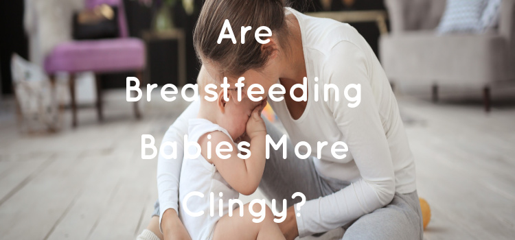 Are Breastfeeding Babies More Clingy?