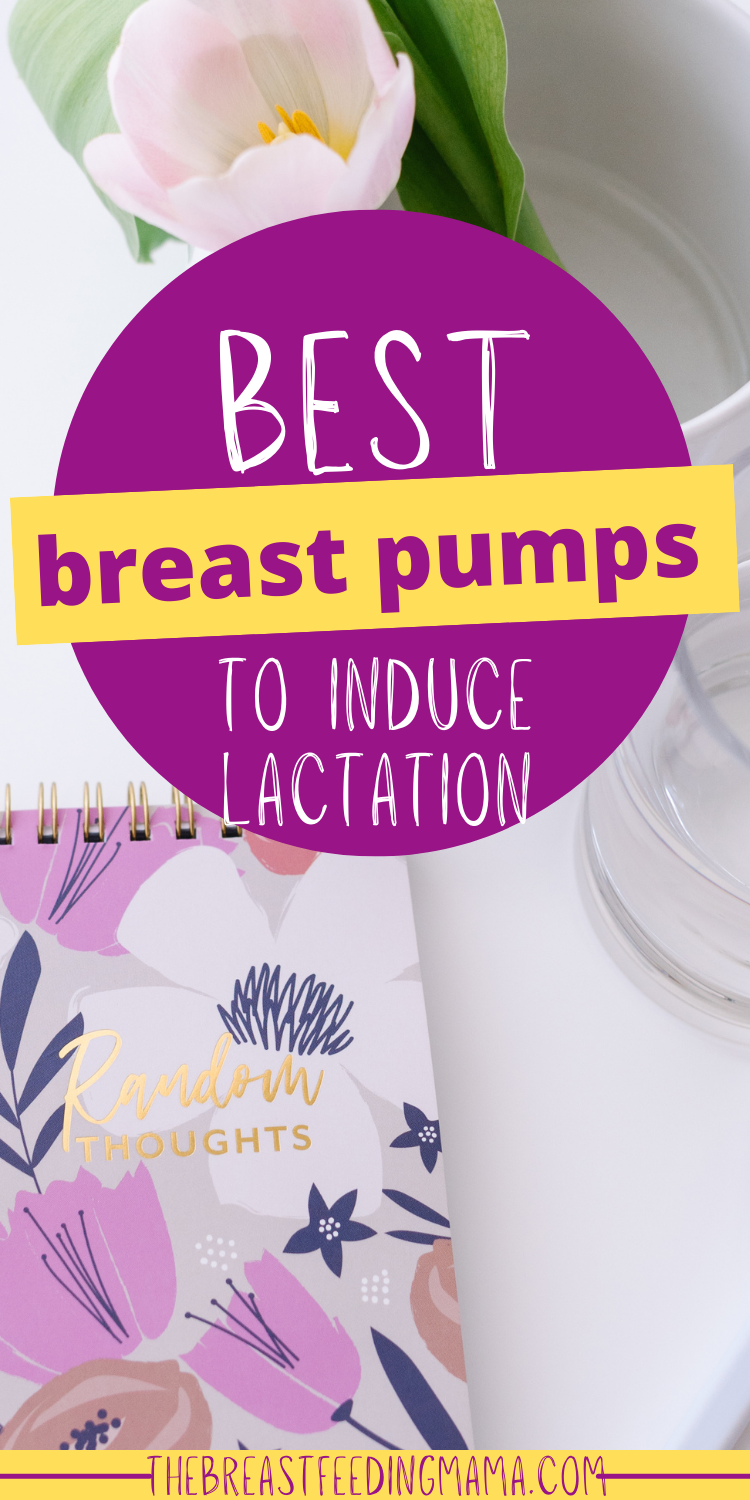 Are you wanting to induce lactation in preparation for a new baby and not sure what breast pump will give you the most success? In this article, we will share our top picks, along with some tips for success.