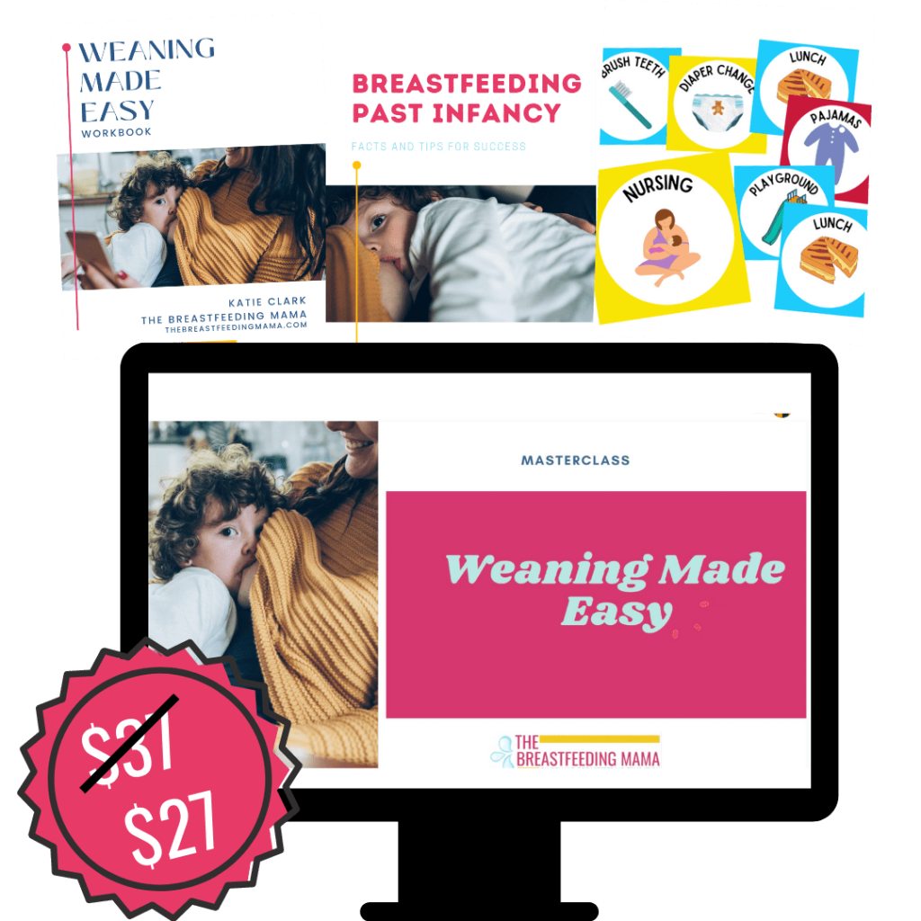 fuss-free-weaning-online-workshop-the-breastfeeding-mama