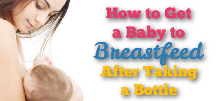 Learn how to Get a Child To Breastfeed After Bottle Feeding (2024)- The Breastfeeding Mama