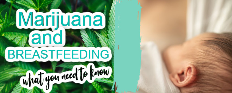 marijuana and breastfeeding